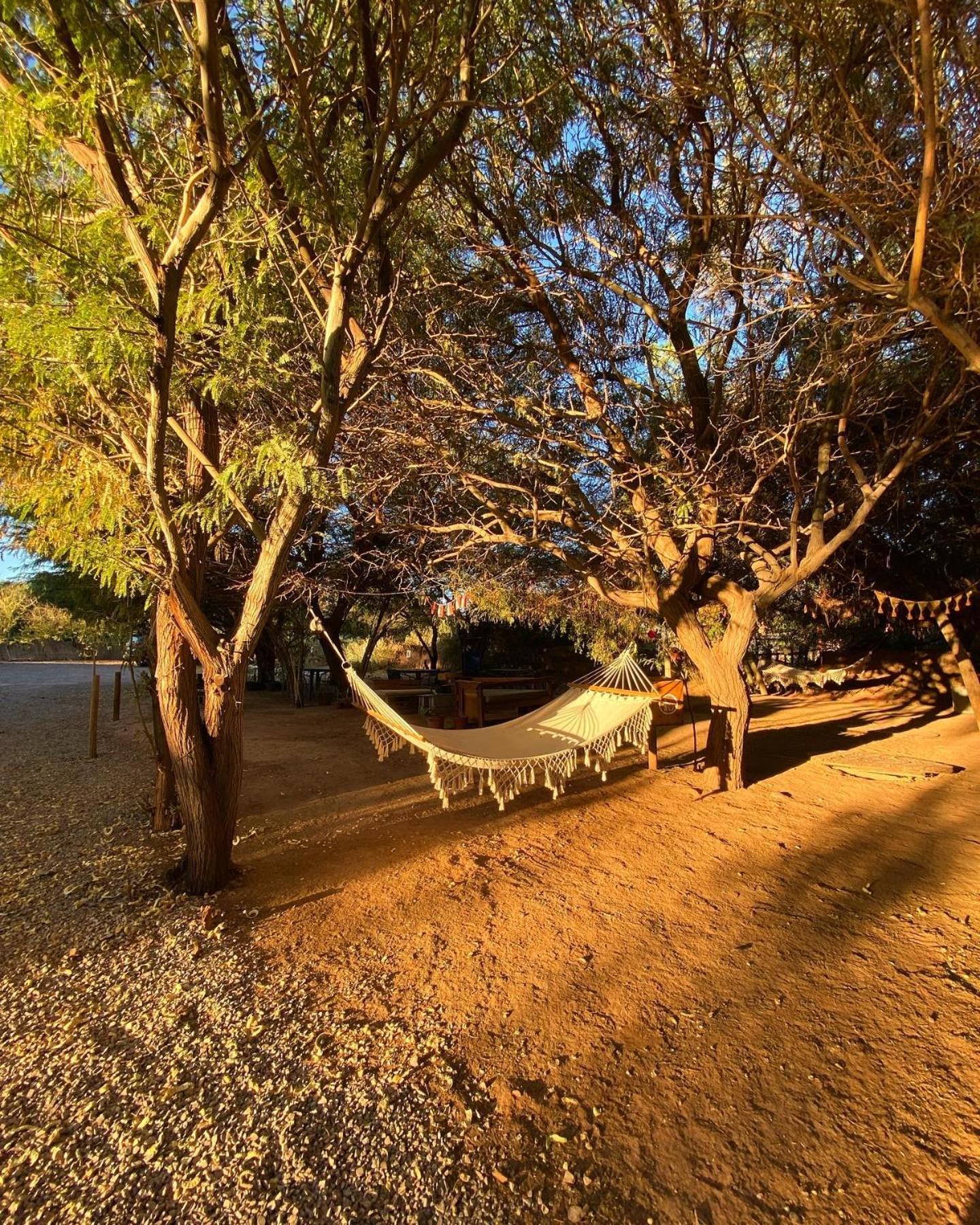 Caminandes Hostal San Pedro de Atacama Ngoại thất bức ảnh