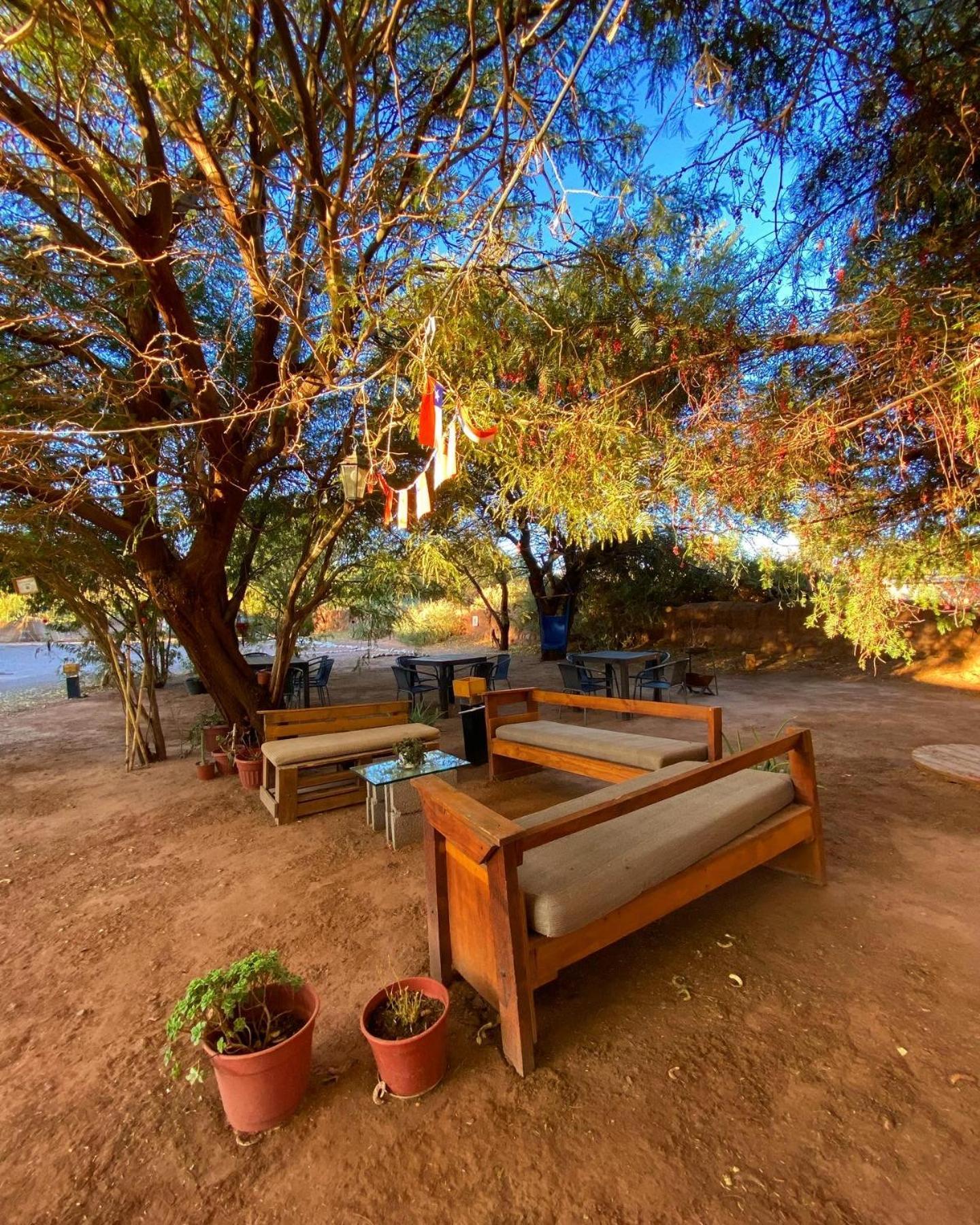 Caminandes Hostal San Pedro de Atacama Ngoại thất bức ảnh